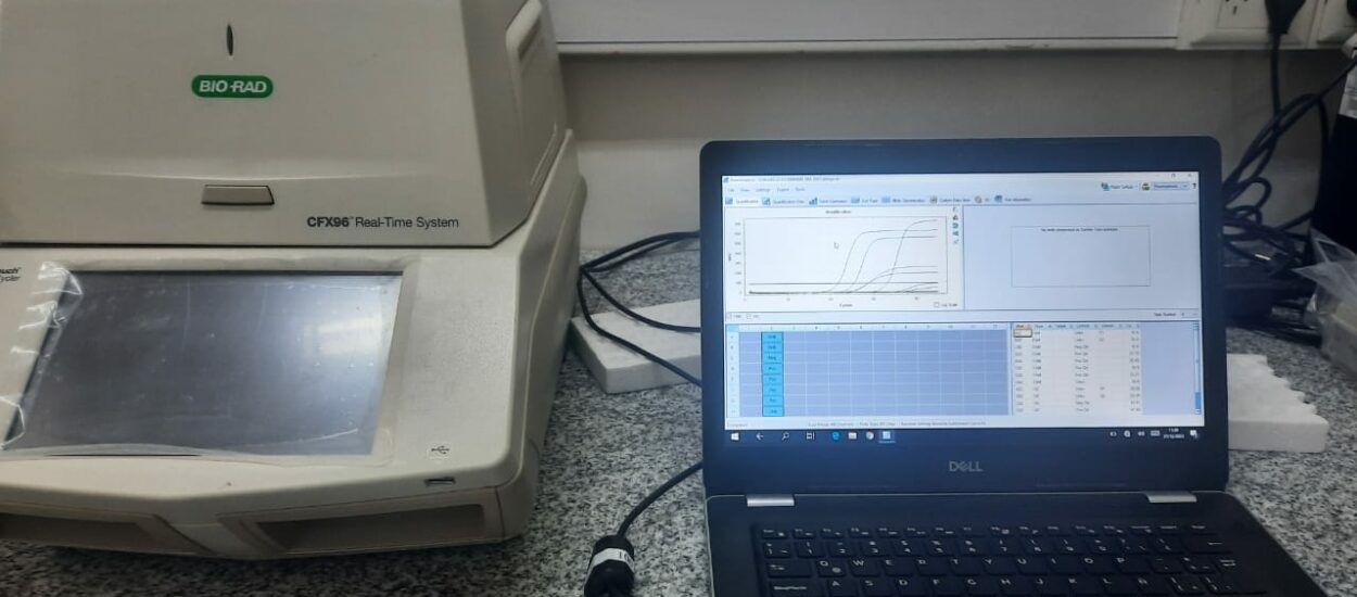 Chubut se convierte en la primera provincia patagónica en incorporar la técnica de la PCR para detectar el Chagas en recién nacidos