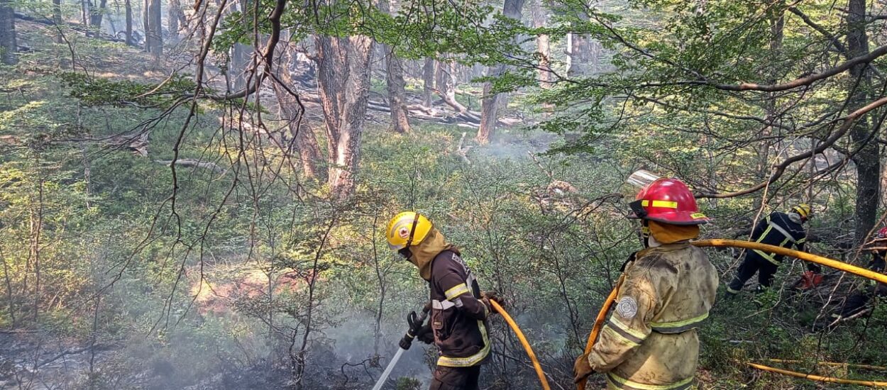 Bomberos Voluntarios de Chubut trabajan en incendio de Los Alerces