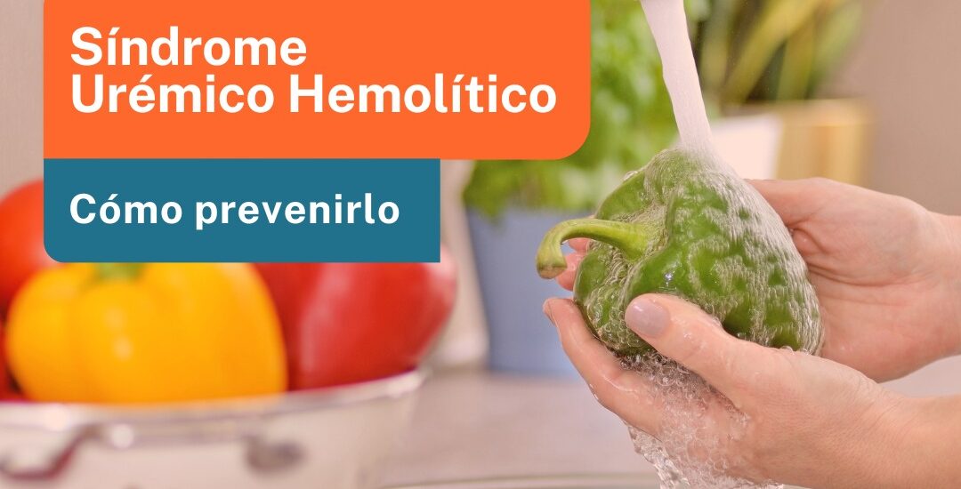 Provincia recuerda cuáles son las medidas de higiene recomendadas para prevenir el Síndrome Urémico Hemolítico