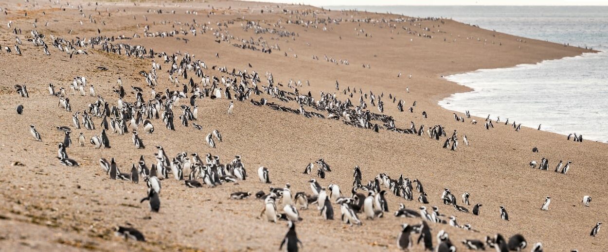 Provincia pone en valor el Sistema de Áreas Naturales Protegidas