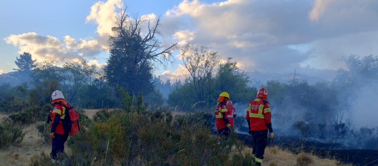 Provincia controló incendio forestal en la zona de Los Cipreses