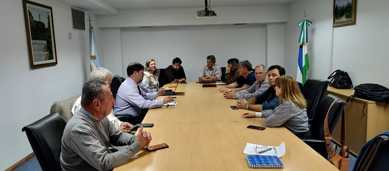 Chubut participó de reunión con Nación sobre programas de ganadería extensiva en la región patagónica