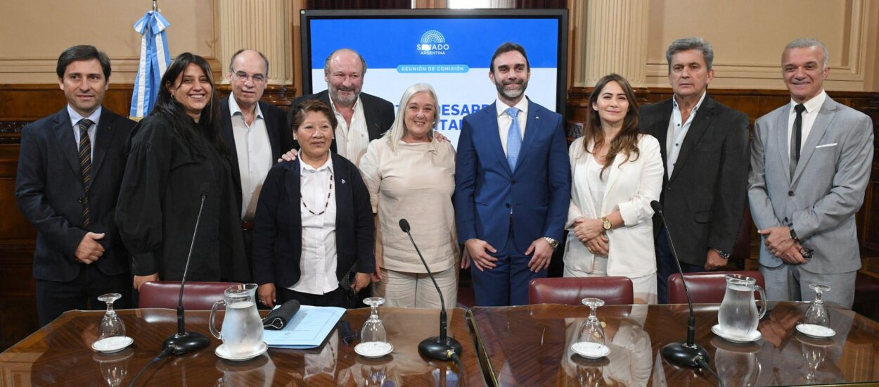 LA SENADORA TERENZI FUE ELEGIDA PARA PRESIDIR LA COMISIÓN DE AMBIENTE Y DESARROLLO SUSTENTABLE