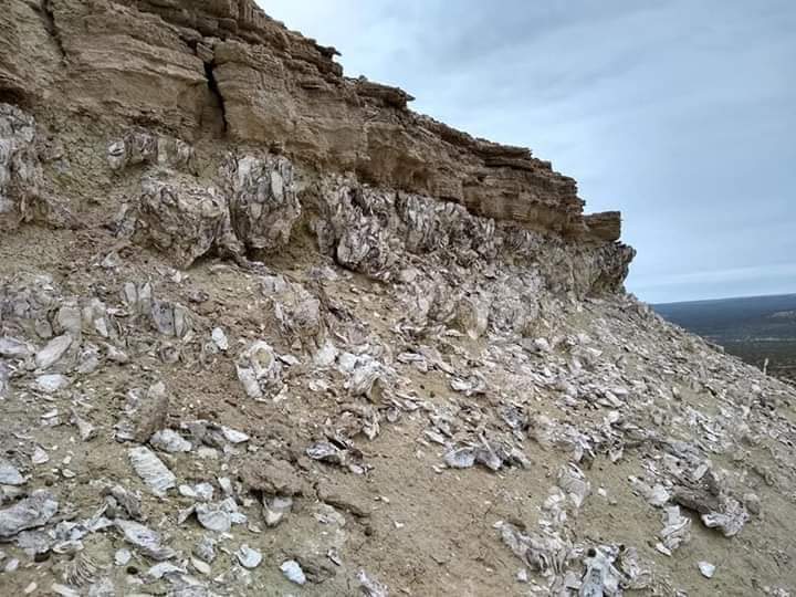 Provincia recuerda la importancia de la conservación del patrimonio paleontológico, arqueológico e histórico