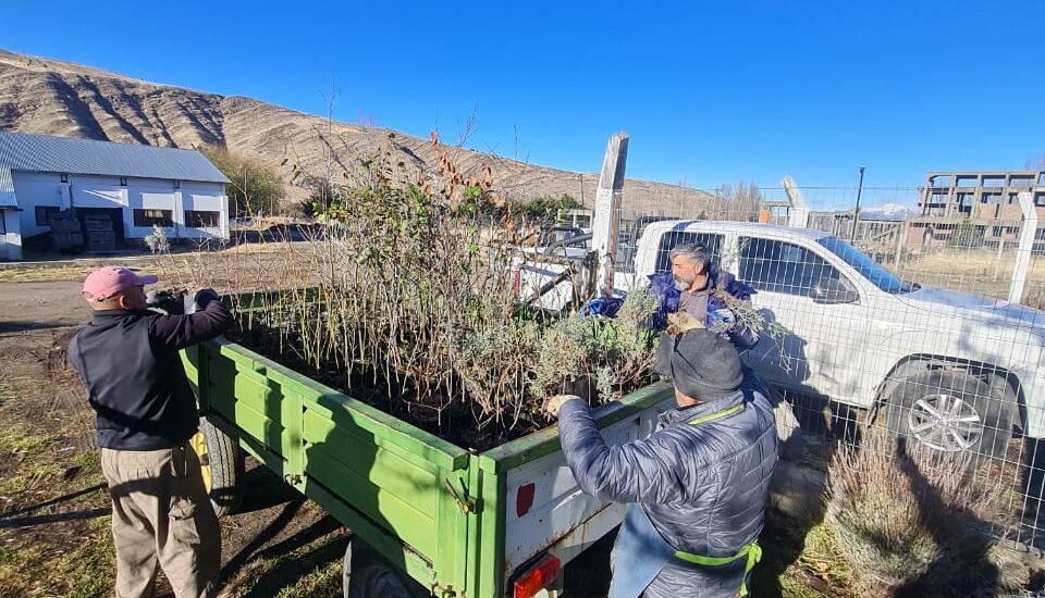 Provincia entregó a la Municipalidad de Esquel más de 200 especies ornamentales