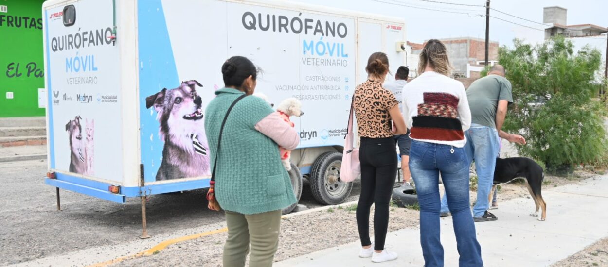  CUIDADO RESPONSABLE DE ANIMALES CON CAMPAÑAS GRATUITAS PARA PERROS Y GATOS