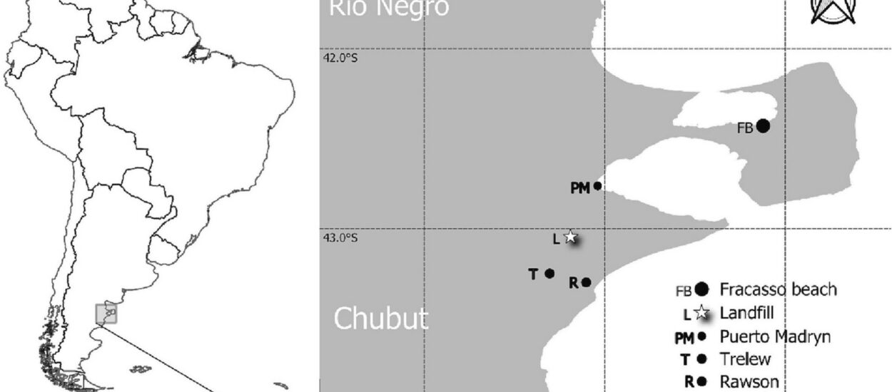 Provincia apoya a becario en una investigación de impacto ambiental