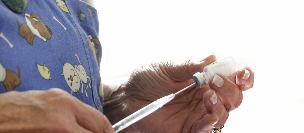 Chubut aplicó más de 62.000 dosis de vacunas antigripales a grupos de riesgo de toda la provincia
