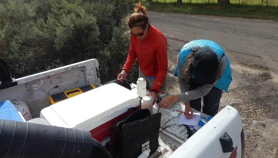 El CENPAT trabaja en un novedoso proyecto de infraestructura en el sistema de riego del VIRCh