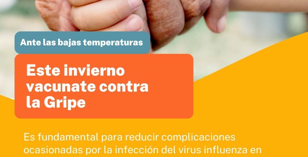 Chubut aplicó más de 71.000 vacunas antigripales y busca reforzar la cobertura de grupos específicos