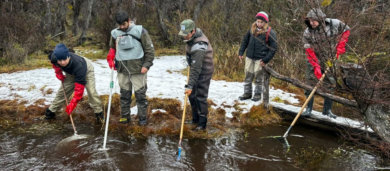 Provincia realiza campaña de desove en ambientes acuáticos de la cordillera