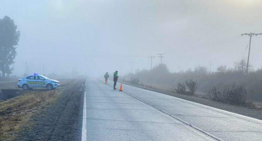 Provincia controló más de 8.000 vehículos y retiró de la vía pública a 33 conductores alcoholizados durante el fin de semana