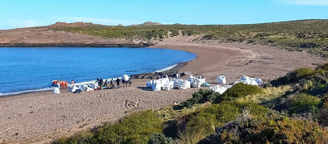 Chubut colaboró con Parques Nacionales en campaña de limpieza de Isla Leones