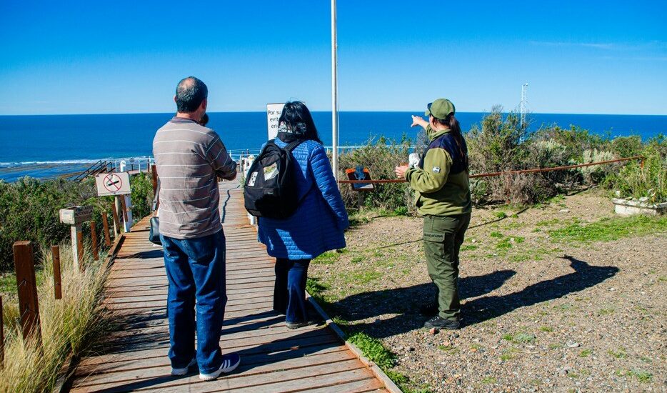 Provincia establece el sistema de ticket “Doble Día” como beneficio permanente en la Península Valdés