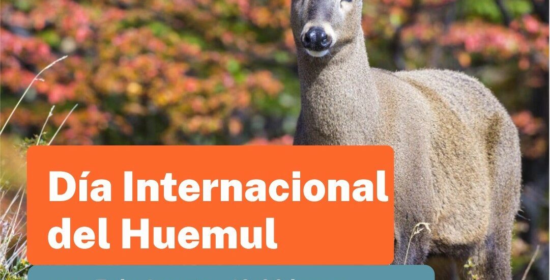 Provincia conmemora el “Día Internacional del Huemul” para crear conciencia sobre su preservación