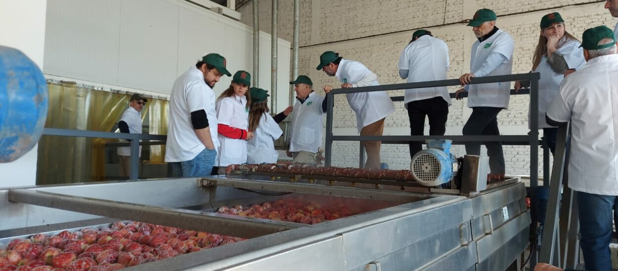 Activa participación de Chubut en el Consejo Federal Agropecuario de la Patagonia