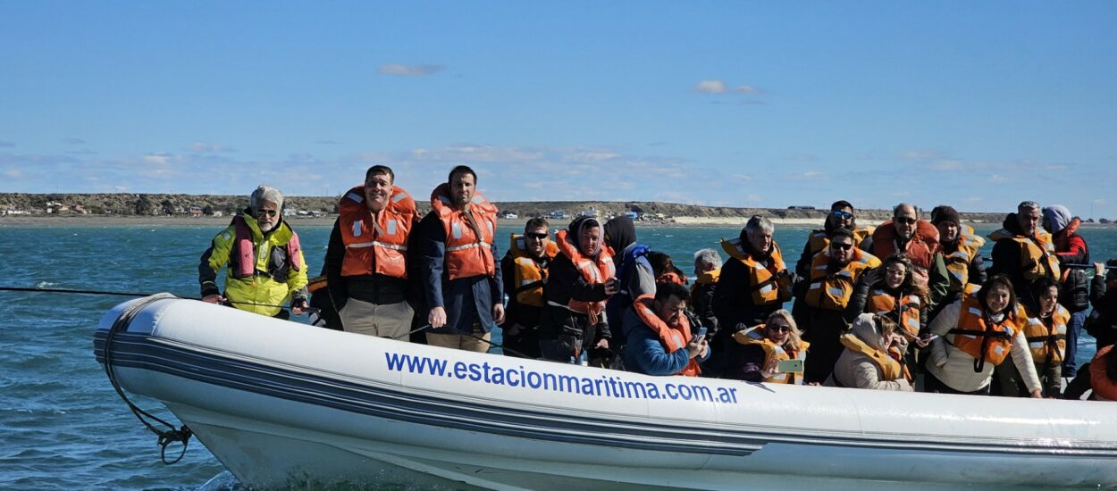 Comenzó la temporada de Toninas en Playa Unión