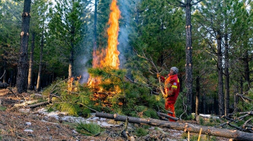 Provincia informó que quedaron suspendidas las quemas de residuos vegetales