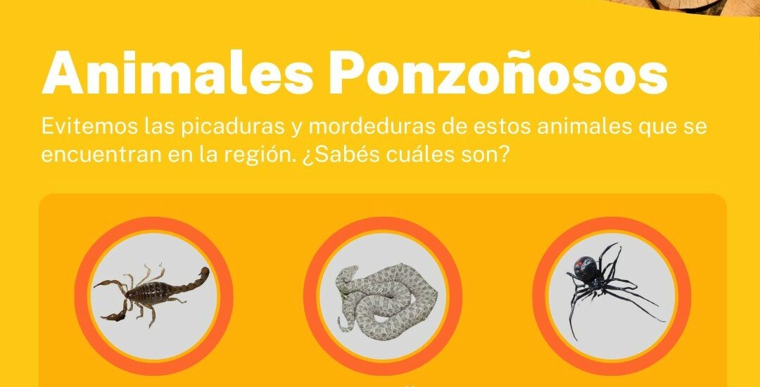 Provincia brindó recomendaciones para evitar picaduras o mordeduras de animales ponzoñosos de importancia sanitaria