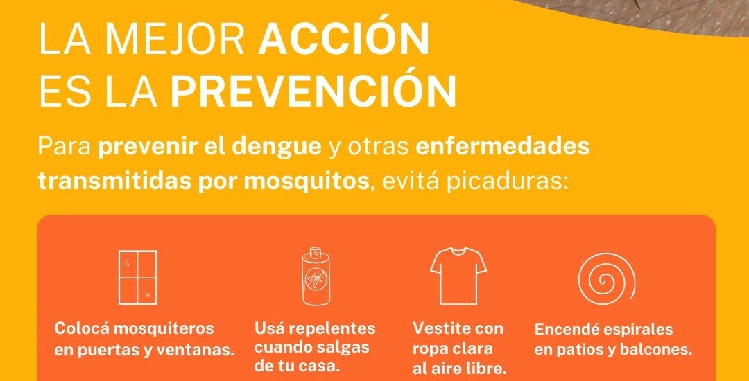 Provincia recordó medidas de prevención de enfermedades transmitidas por mosquitos