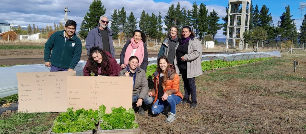 Provincia realiza pruebas de uso de fertilizantes orgánicos en cultivos hortícolas de la Cordillera