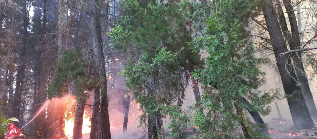 Torres anunció que el incendio en la zona de Los Cipreses está circunscripto