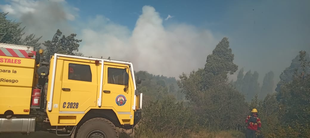 Provincia trabaja para controlar un incendio en la zona de Los Cipreses